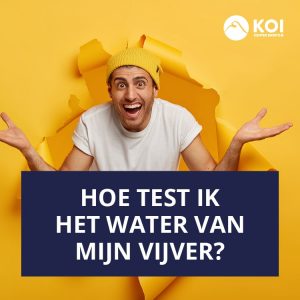 water testen